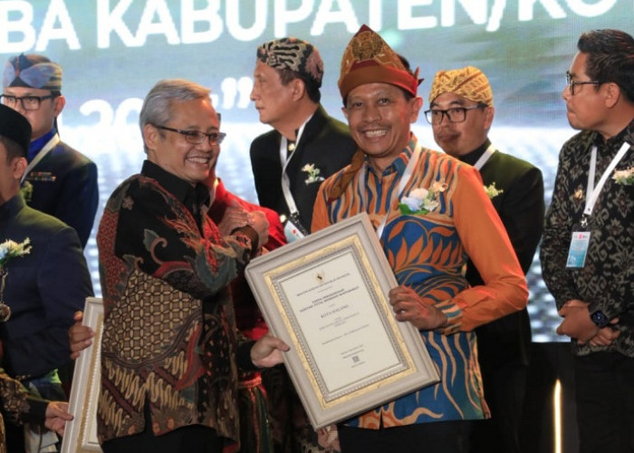 Pj Wali Kota Malang Terima Dua Penghargaan dari Menkes