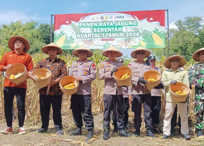 Polres Ngawi Gelar Panen Raya Jagung Serentak di Geneng