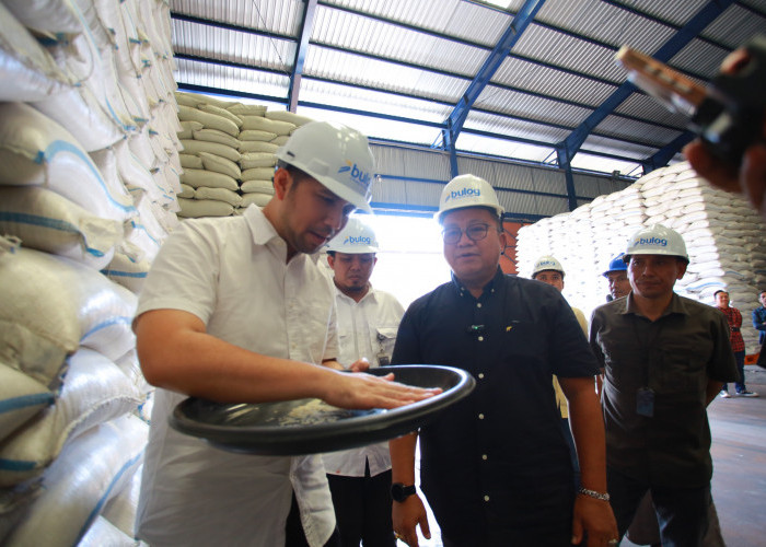 Bulig Jatim Tembus Target Serapan Gabah 100 Persen, Capai 884 Ribu Ton Setara Beras