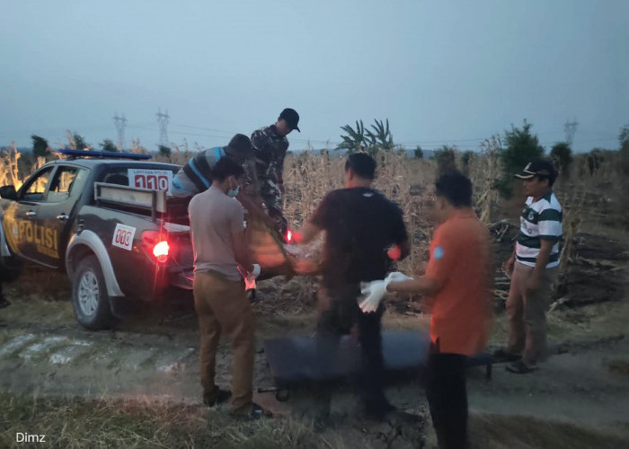 Identitas dan Kronologi Penemuan Dua Lansia yang Tewas di Sawah dan Hutan Lamongan, Polisi Ungkap Pemicunya!