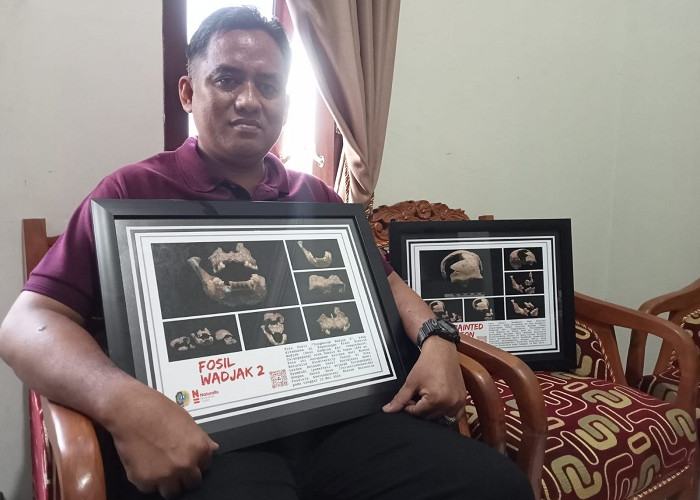 Pemerhati Sejarah Tulungagung Kumpulkan Jejak Homo Wajakensis dari Museum Belanda