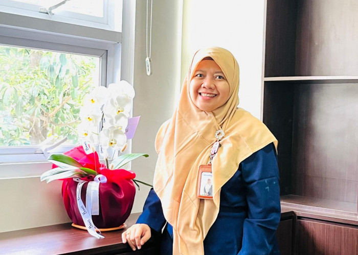 Apa Bedanya BPJS Kesehatan dengan Asuransi Swasta, Cek Manfaatnya