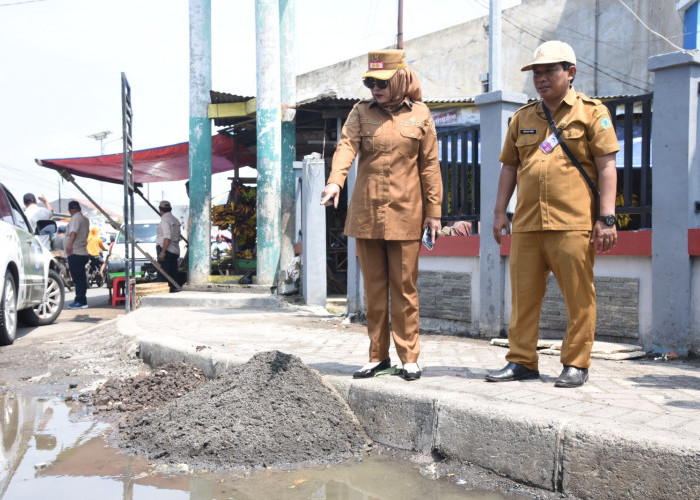 Wabup Sidoarjo Pantau Perbaikan Jalan Rusak