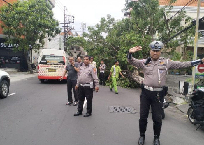 Pohon Tumbang di Jalan Pahlawan Surabaya, Personel Polsek Bubutan Sigap Amankan Lalu Lintas
