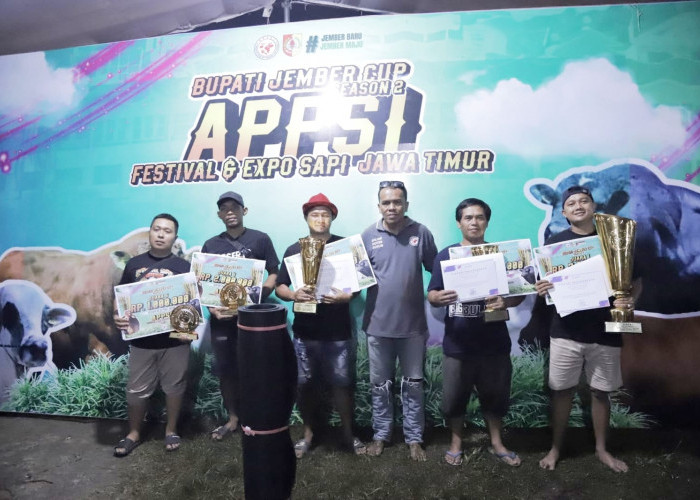 Sapi Sapu Jagat dari Mojokerto Ukir Sejarah di Jember Cup Season 2, Raih Juara dan Pecahkan Rekor Nasional