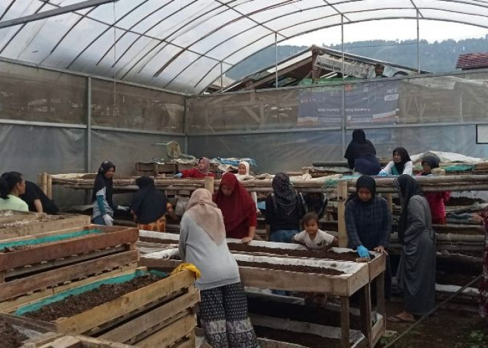 Perempuan Nasabah PNM Mekaar Bandung Barat Kembangkan Usaha dari Limbah Melalui Sinergi Ultra Mikro BRI