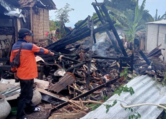 Dua Rumah Hangus Terbakar di Situbondo, Nenek 81 Tahun Lolos dari Maut