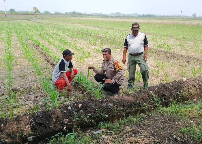Polsek Balongbendo Optimalkan Pendampingan Ketahanan Pangan