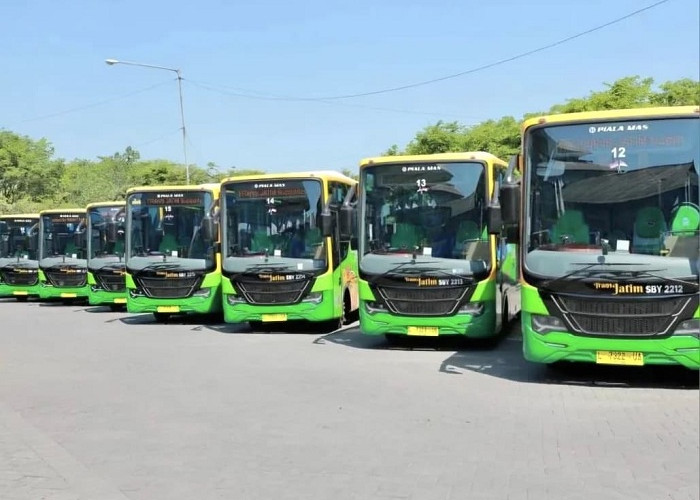  Bus Trans Jatim Bakal Masuk Pasuruan 2027, Pemkab Tunggu Arahan Pemprov
