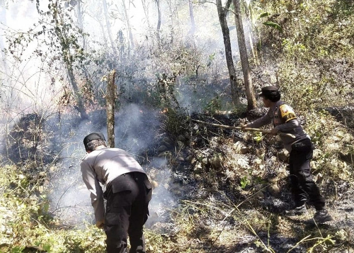 Berkat Call Center 110 Polres Ngawi, Kebakaran Lahan di Bukit Gogor Sine Berhasil Dipadamkan