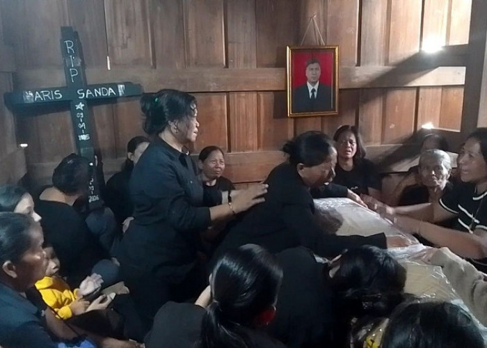 Kekerasan Bersenjata di Papua, Anggota DPR di Jakarta Desak Perlindungan Warga Sipil