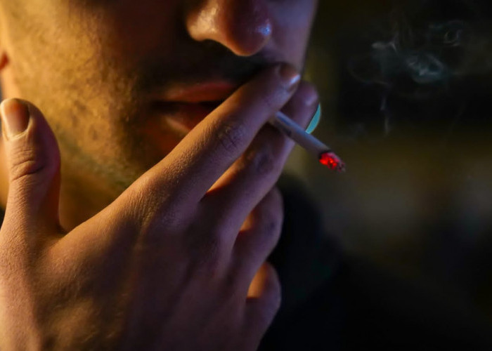 7 Bahaya Merokok dan Manfaat Berhenti Merokok bagi Kesehatan