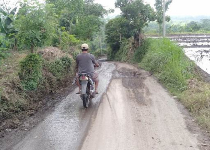 Dilalui Truk Galian, Warga Desa Sugeng Mojokerto Keluhkan Jalan Rusak
