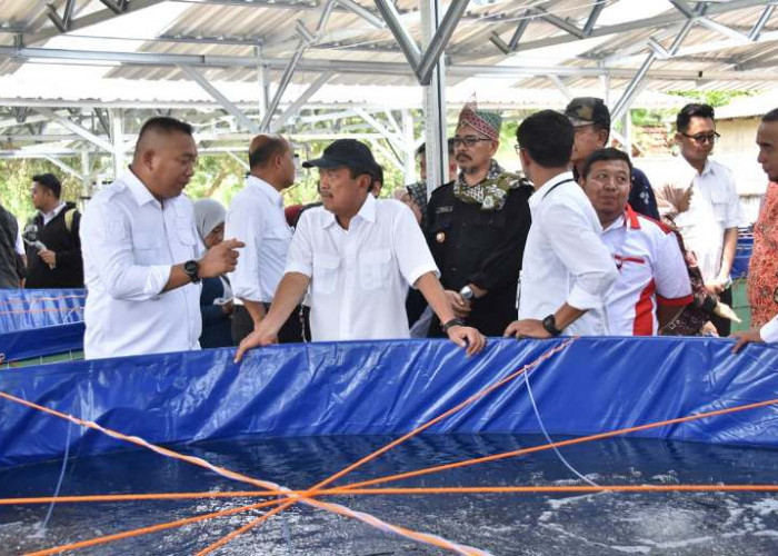Situbondo Disiapkan Jadi Kampung Lobster Nasional dengan Proyeksi Investasi Rp 2 Triliun