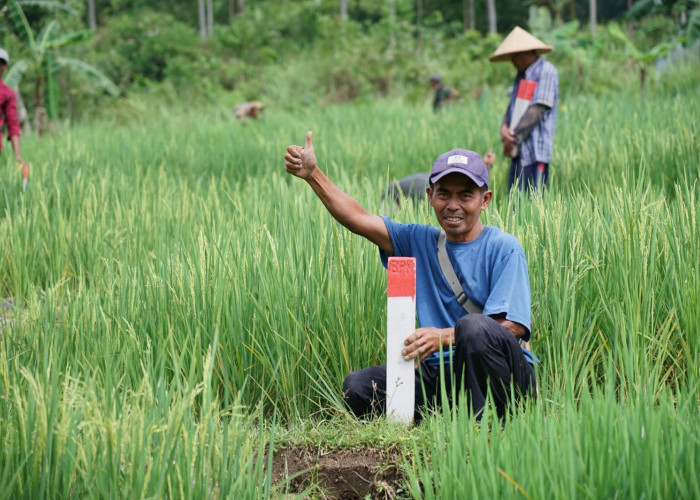 Mudik ke Kampung Halaman? Jaga Batas Tanah sebagai Langkah Awal Cegah Konflik Antartetangga