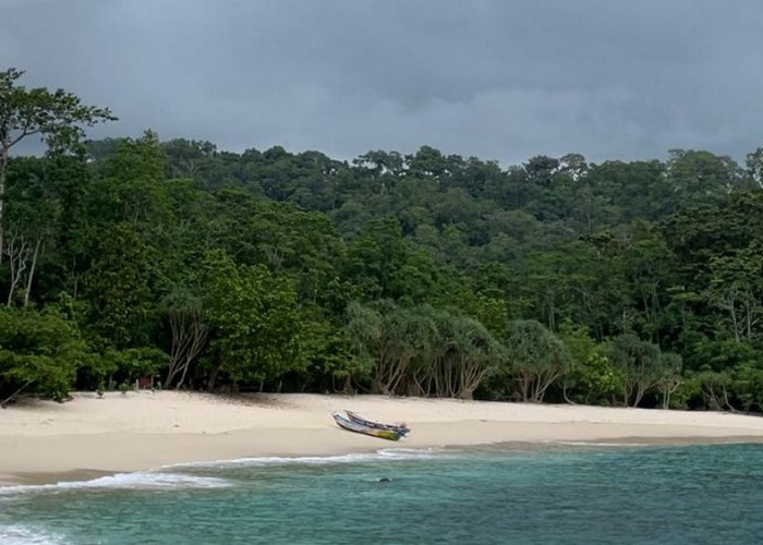 Teluk Hijau Banyuwangi, Surga Tersembunyi dengan Pesona Alam yang Memukau