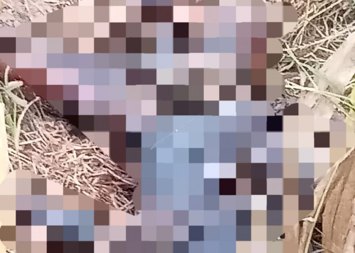 Warga Driyorejo Gresik Gempar,  Ditemukan Jasad Wanita dengan Kondisi Kancing Baju Terbuka Tanpa Celana