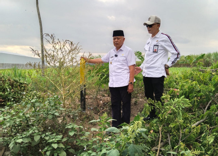 Kementerian PUPR Mulai Kerjakan Ruas Jalan Gondanglegi Balekambang