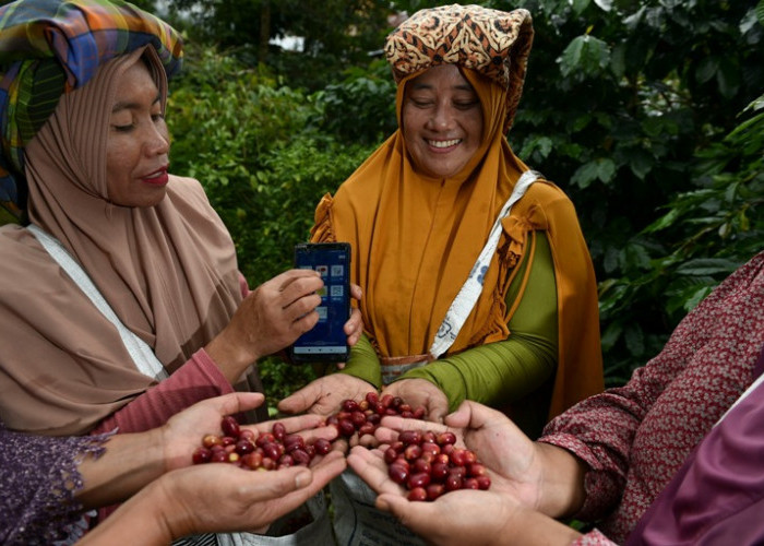 BRI Salurkan KUR Rp 65,95 Triliun untuk Dukung Ketahanan Pangan