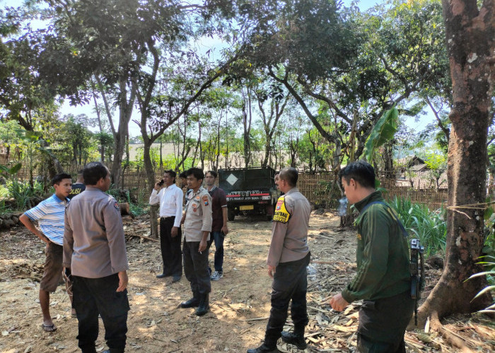 Pikap Curian Ditemukan di Hutan Lumbang, Pelaku Kabur