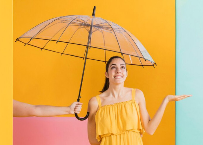 Payung Transparan: Fungsional atau Estetis?