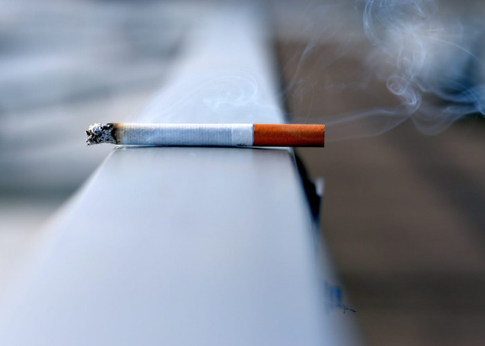 Waspada! Dampak Buruk Merokok Bukan Hanya untuk Perokok Aktif