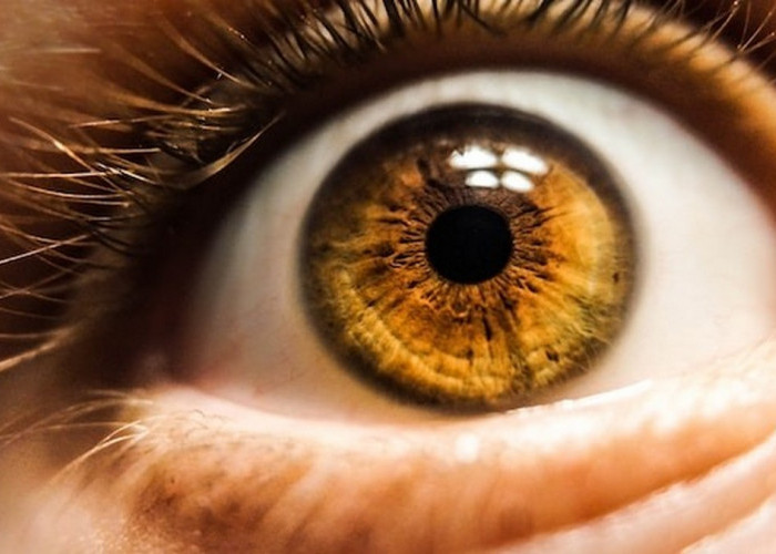 Tips dan Perawatan untuk Menjaga Penglihatanmu Tetap Tajam