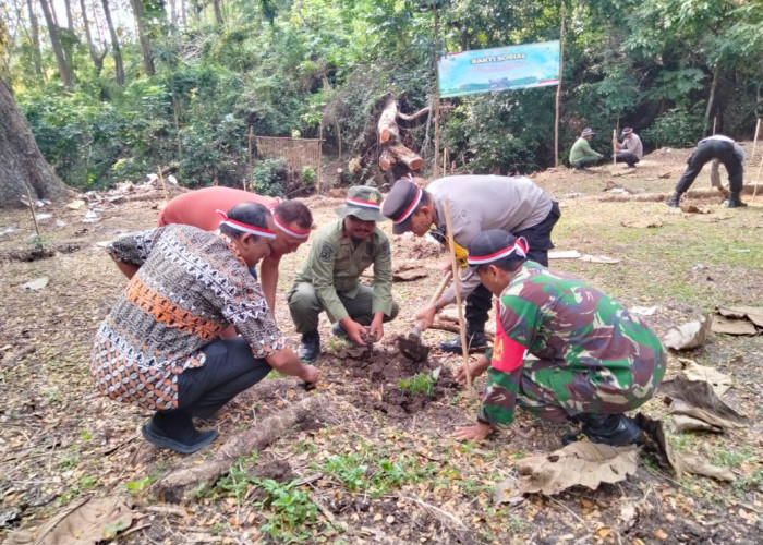 HUT Ke-78 Bhayangkara, Polsek Gondang Tanam Pohon Bareng Forkopimcam