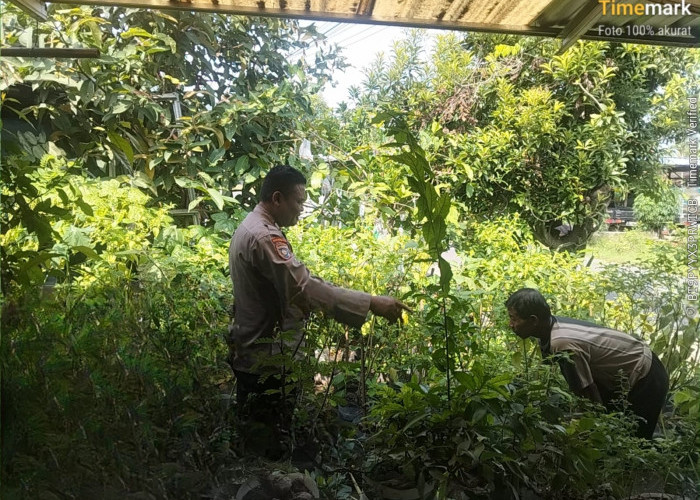 Patroli Pekarangan Pangan Bergizi, Polsek Geneng Dukung Ketahanan Pangan di Ngawi