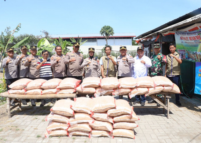 Dukung Ketahanan Pangan, Polres Pelabuhan Tanjung Distribusikan 1 Ton Jagung Hasil Panen Raya ke Bulog