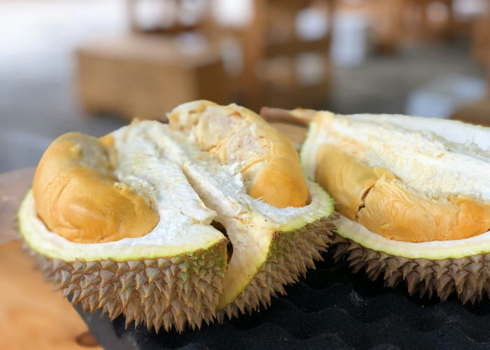 Rajanya Buah, Simak 13 Fakta dan Manfaat Buah Durian yang Kaya Nutrisi!