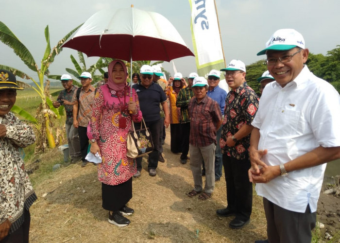 PT Wilmar Padi Indonesia Bantu Kesulitan Petani di Sidoarjo