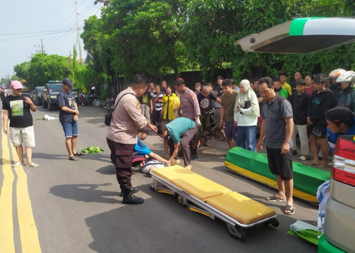 Lansia Pengendara Ontel Tewas Tertabrak Truk di Manyar Gresik