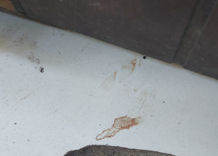 Ada Bercak Darah di Lantai Keramik, Pelaku Diduga Memutilasi di Rumah Kontrakan