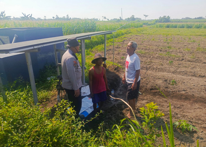 Kawal Ketahanan Pangan, Polsek Tempeh Turun Langsung ke Lahan Pertanian Warga