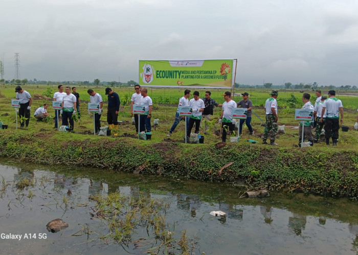 Tanam Ribuan Pohon, Pertamina EP Sukowati Field Targetkan Kurangi Dampak Perubahan Iklim