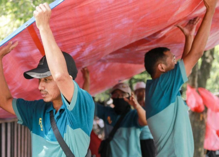Jember Resik-Resik! Satgas Gabungan Tertibkan Reklame Liar dan Kembalikan Hak Pejalan Kaki di Trotoar