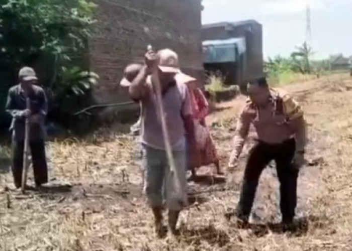 Dukung Asta Cita Ketahanan Pangan, Polisi Pantau Tanaman Kentang di Dataran Bromo Tosari 
