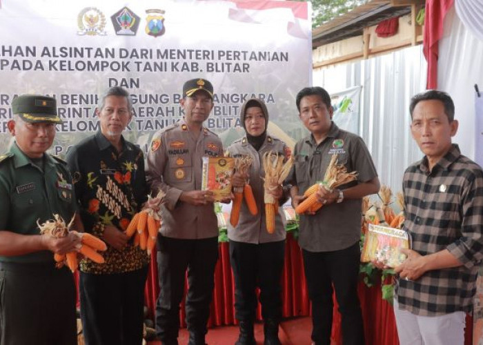 Panen Raya Jagung di Blitar: Sinergi Polres dan Petani, Lahirkan Benih Unggul Bhayangkara