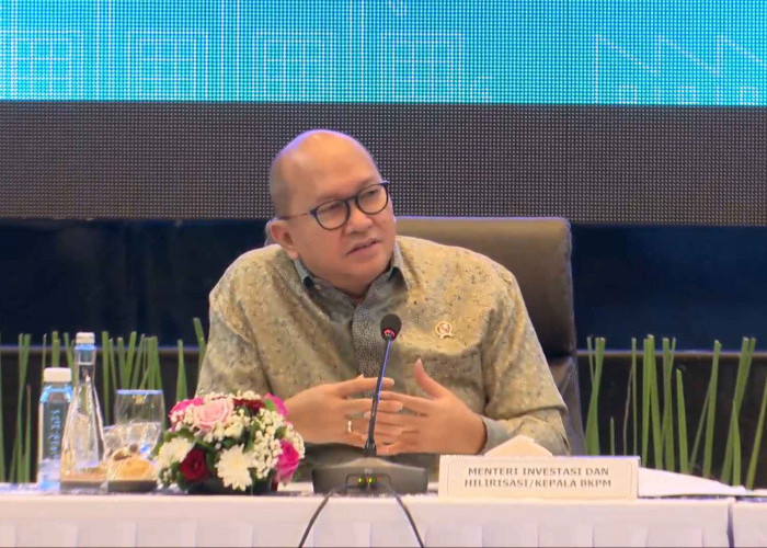 Hilirisasi Mineral Jadi Primadona, Realisasi Investasi Sektor Strategis Tembus Rp147,5 Triliun