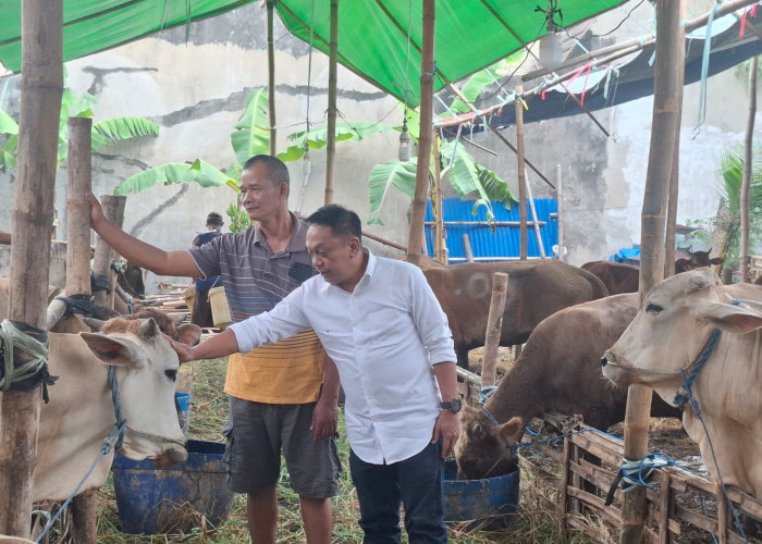 Iduladha 1447 H, Legislator PDIP Minta Kelurahan Proaktif Kawal Lapak Hewan Kurban