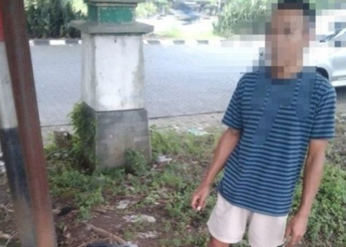 Pria Surabaya Tertangkap Basah Curi Cucak Ijo di Driyorejo 