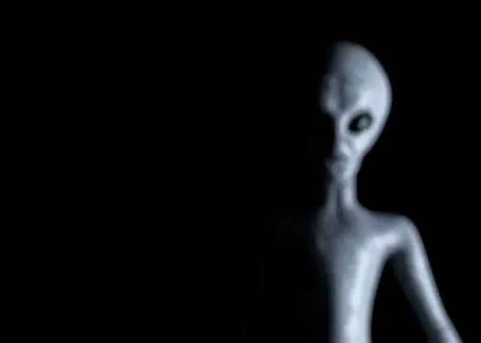 Ngeri! Inilah 5 Fakta Menarik Tentang Alien yang Sering Ditemukan di Mexico