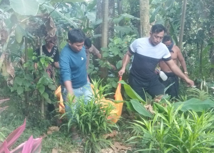 Pria Ditemukan Meninggal Tergantung di Pekarangan Rumah di Jember, Polisi Selidiki Penyebabnya