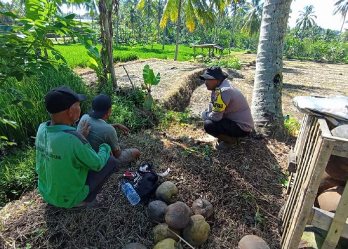 Kawal Asta Cita Presiden, Polsek Senduro Dampingi Petani Lumajang Perkuat Ketahanan Pangan