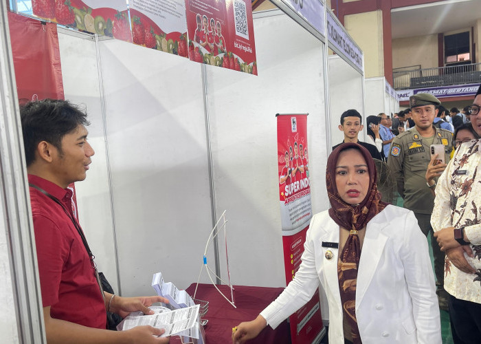 Job Fair Kota Mojokerto Diserbu Ribuan Pencari Kerja, Harapan Baru di Tengah Tantangan Pengangguran