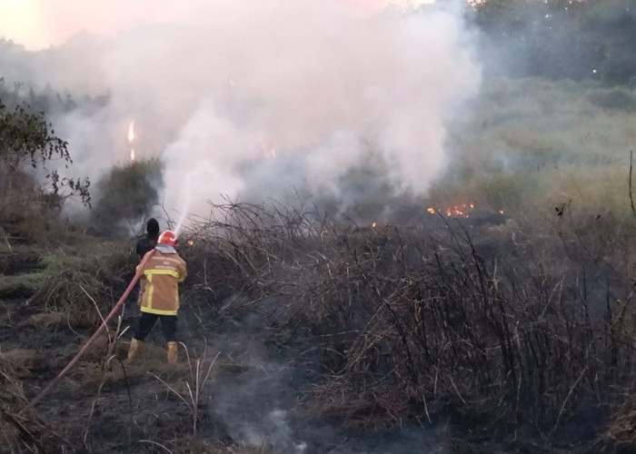 Dipicu Pembakaran Sampah, Lahan Kosong di Kawasan Komersial GKB Gresik Terbakar