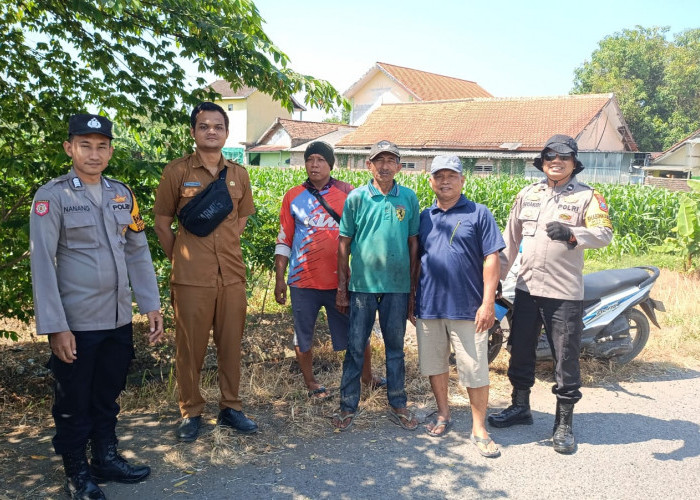 Polsek Balongbendo Ajak Petani Perhatikan Perkembangan Jagung Hibrida