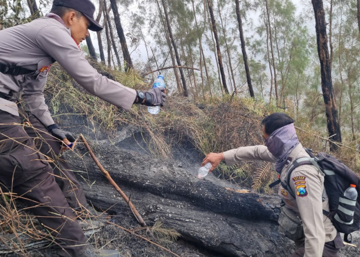 Pemadaman Karhutla Gunung Buthak Blitar Terus Dilakukan, Helikopter Dikerahkan