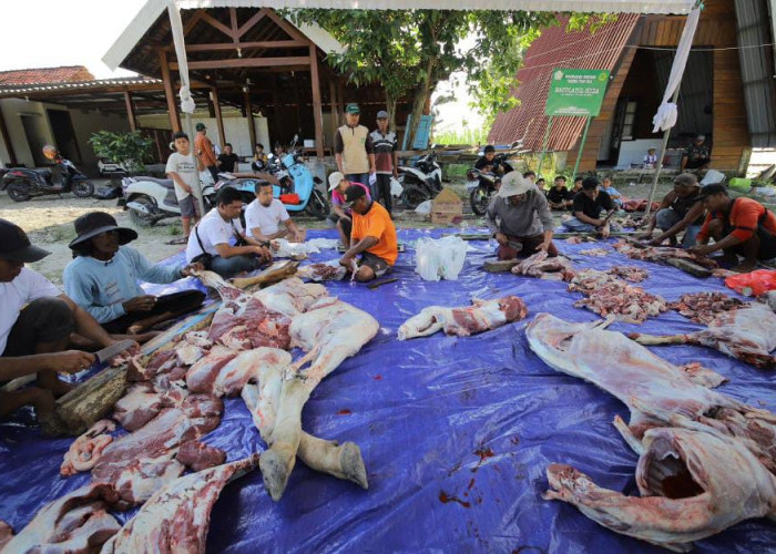 Tak Sekadar Kurban, Pekerja Lapangan Minyak Banyu Urip Kerja Bakti Sebar Daging Bersama Warga